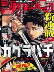 钻石王牌漫画 选购流程与预算分层